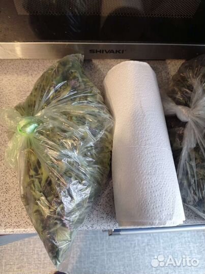 Мята, мелисса. Свежая и сушёная. Зверобой свежий