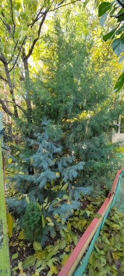 Дом 70,4 м² на участке 3 сот.