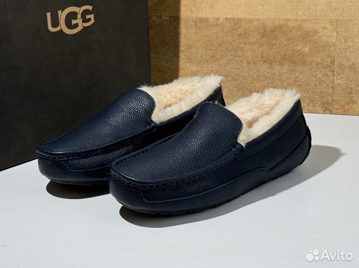 Мокасины UGG Mens Ascot Leather Navy