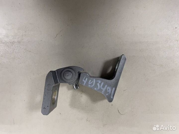 Петля двери Volkswagen Tiguan 2017