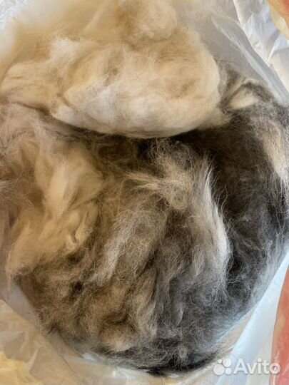 Собачья шерсть (Аляскинский маламут)