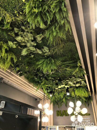 Вертикальное озеленение (