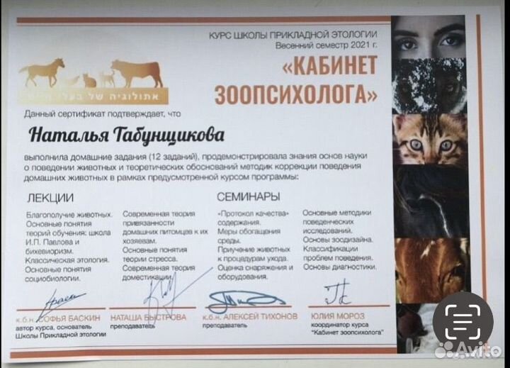 Кинолог, Зоопсихолог, онлайн-консультации