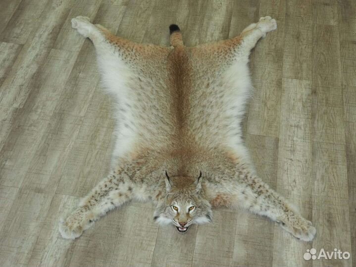 Шкуры волка и рыси имитация