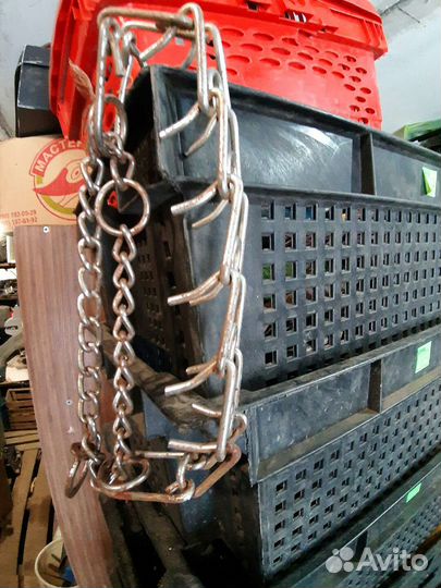 Строгий ошейник для собак