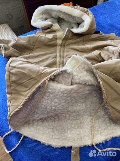 Попона для собак