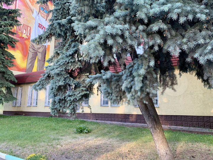 Свободного назначения, 495 м²