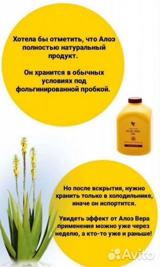 Forever Fresh 5 видов