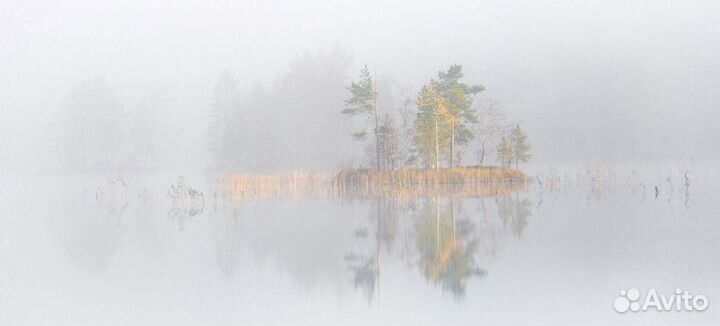 Авторские пейзажные фотографии