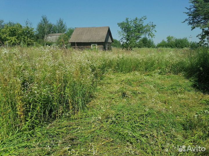 Покос Травы