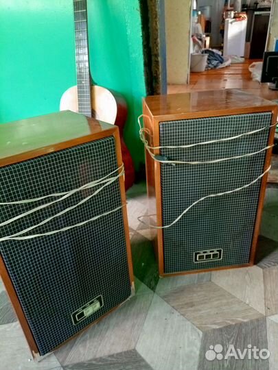 Колонки 25 ас