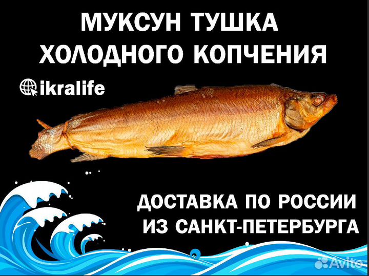 Муксун тушка холодного копчения. Доставка по РФ