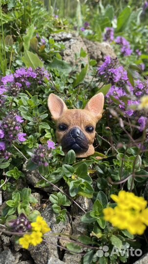 Брошь Французский бульдог