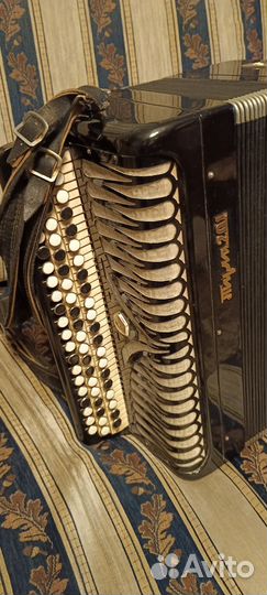 Баян тульский