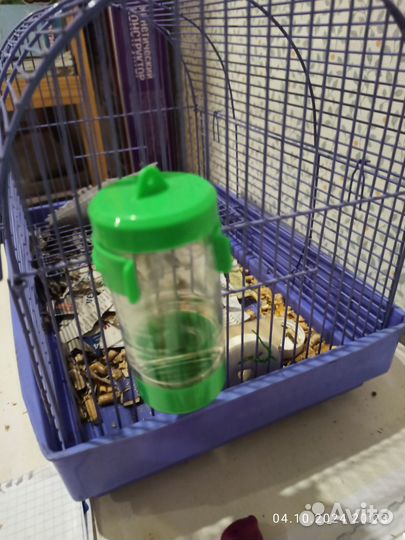 Клетка для грызуна