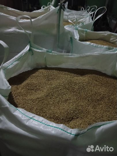 Зерноотходы ячменные