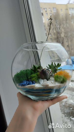 Флорариум. Подарок