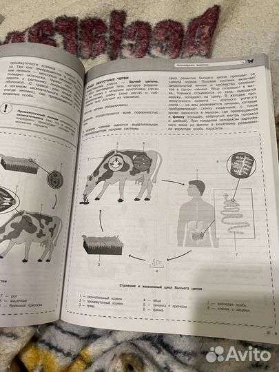 Сборник для ОГЭ и ЕГЭ биология