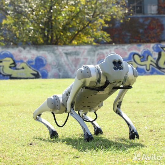 Робот собака Unitree Go1 PRO
