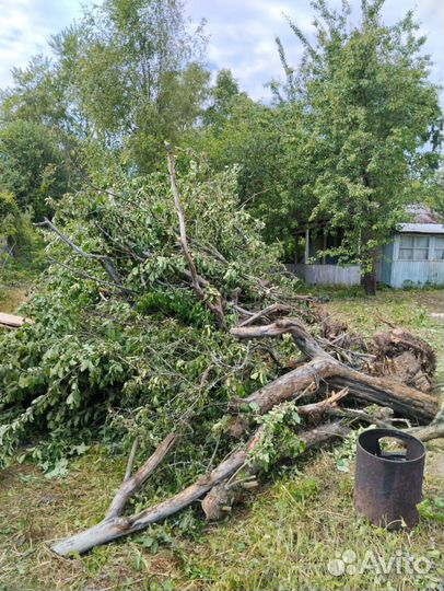 Отдаю дрова бесплатно