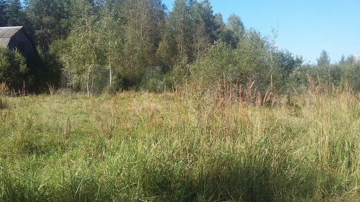 Участок 6 сот. (ИЖС)