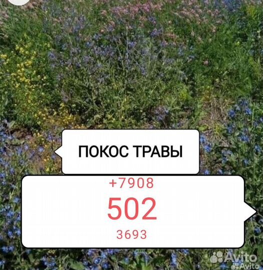 Покос травы триммером