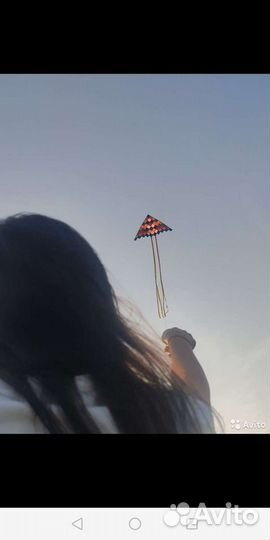 Воздушные змеи подарки