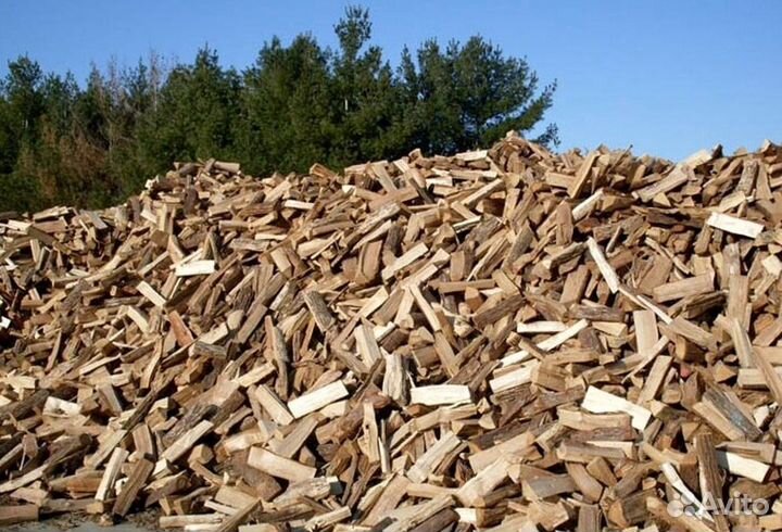 Дрова со Всеволожска