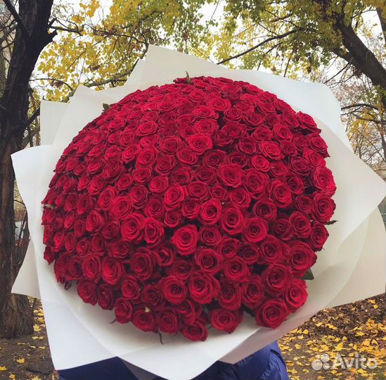 Свежие Розы в Букетах. Доставка/Самовывоз