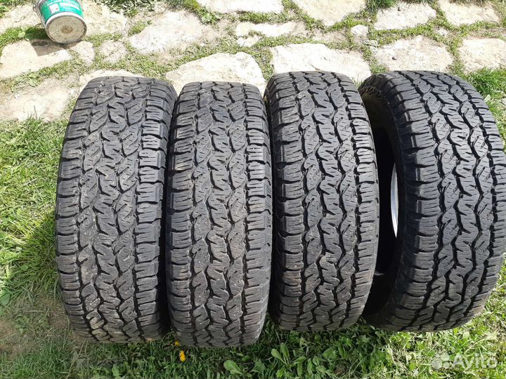 Шины Матадор Изарда