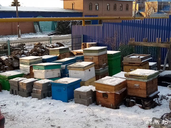 Ульи для пчёл, рамки бу