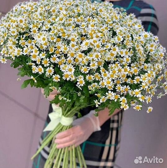 Ромашки Пионы Розы Доставка