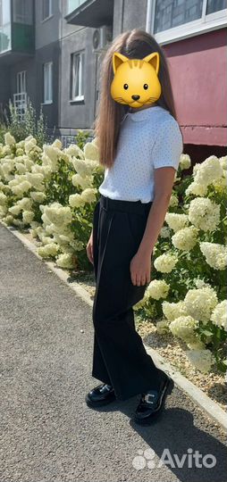 Брюки блузка школьная одежда размер 140