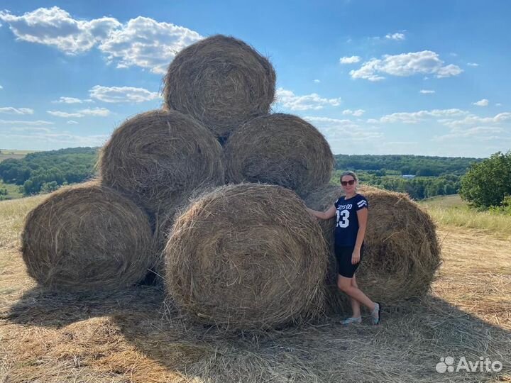 Сено в рулонах 2022