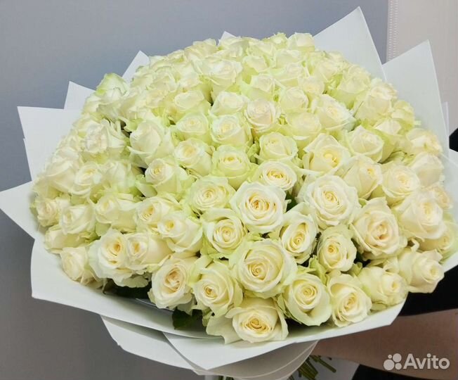 Белые розы 101, 51 роза. Доставка. Свежие розы