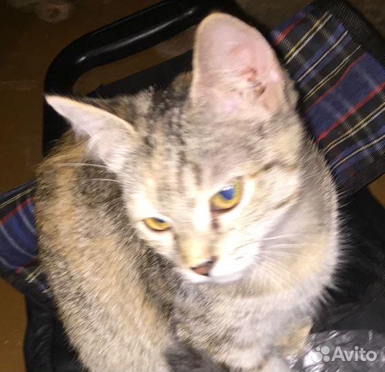 В заботливые ручки
