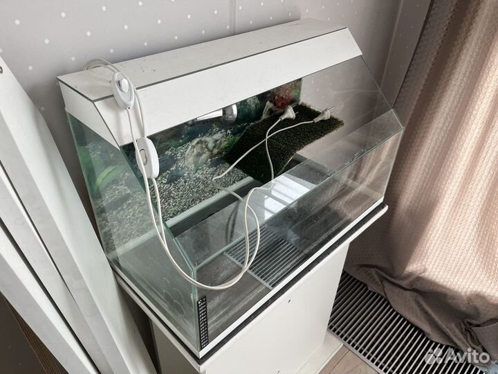 Аквариум для красноухой черепахи