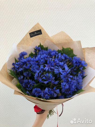 Полевой букет Васильков