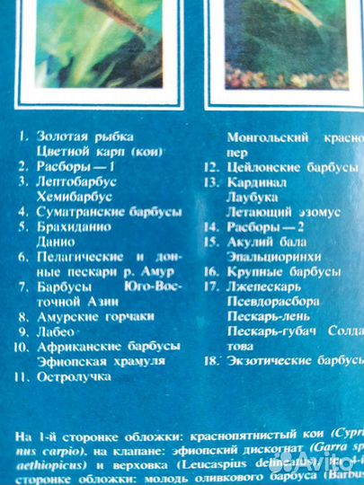 Рыбки- открытки, аквариум Московского зоопарка