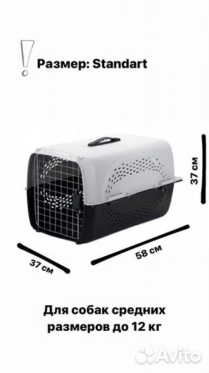 Аренда переноски для животных