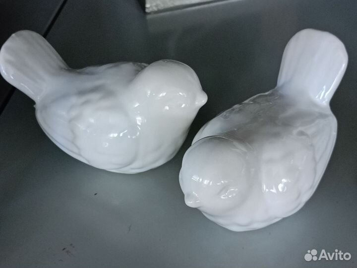 Черепаха, звезда морская