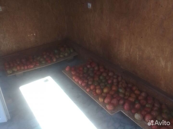 Морковь, Перец болгарский, горький струч