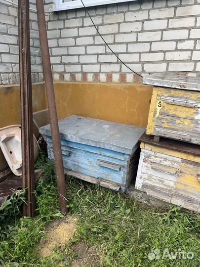 Улий для пчел