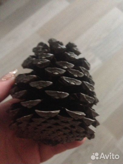 Шишка большая выс.10,диам.25 см, д/ декора,интерье