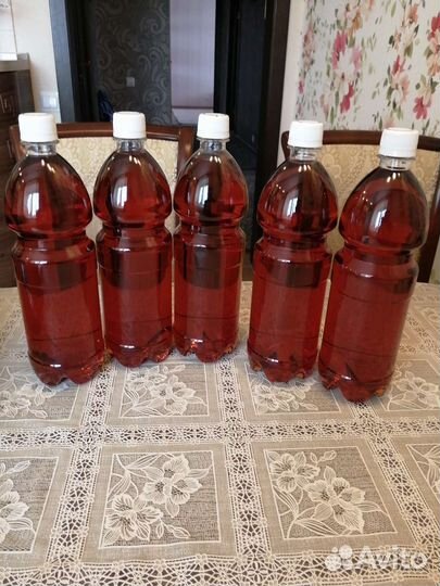 Барсучий Жир 2023