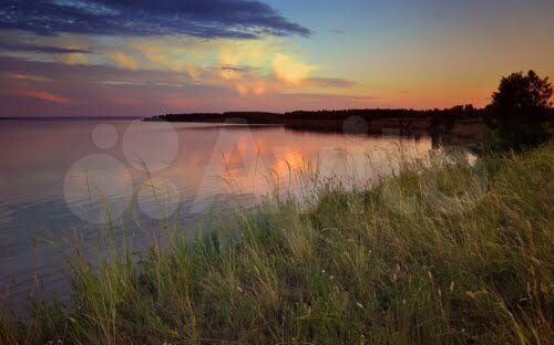 Участок 100 сот. (СНТ, ДНП)