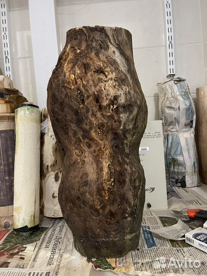 Каповый нарост вяза. Токарная заготовка