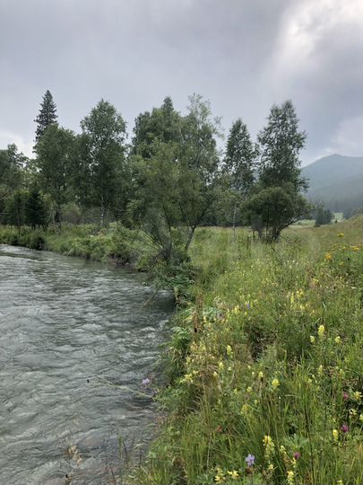 Участок 1,5 га (ИЖС)