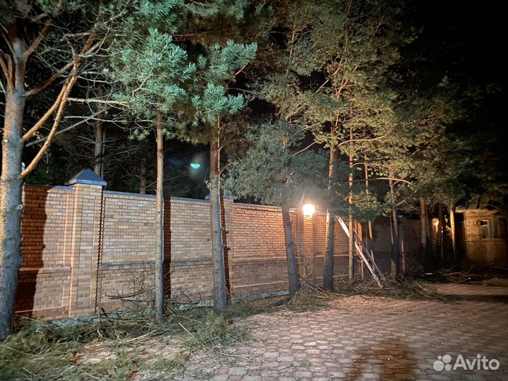Подготовка сада к весне