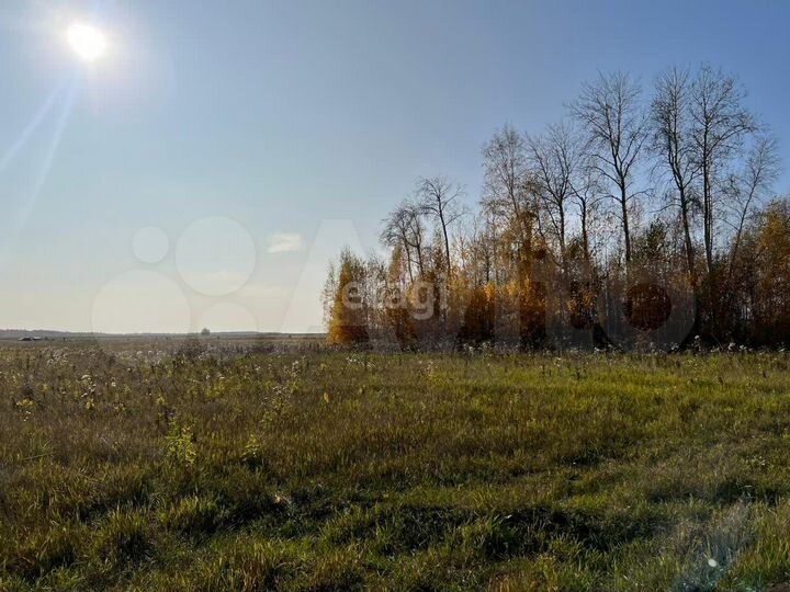 Участок 84,5 сот. (СНТ, ДНП)